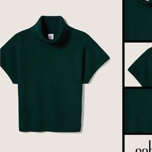 NEVER WORN CAbi Takeout Turtleneck in Forest Green